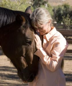 Elizabeth-Johnson-Equine-Massage-12.12.14